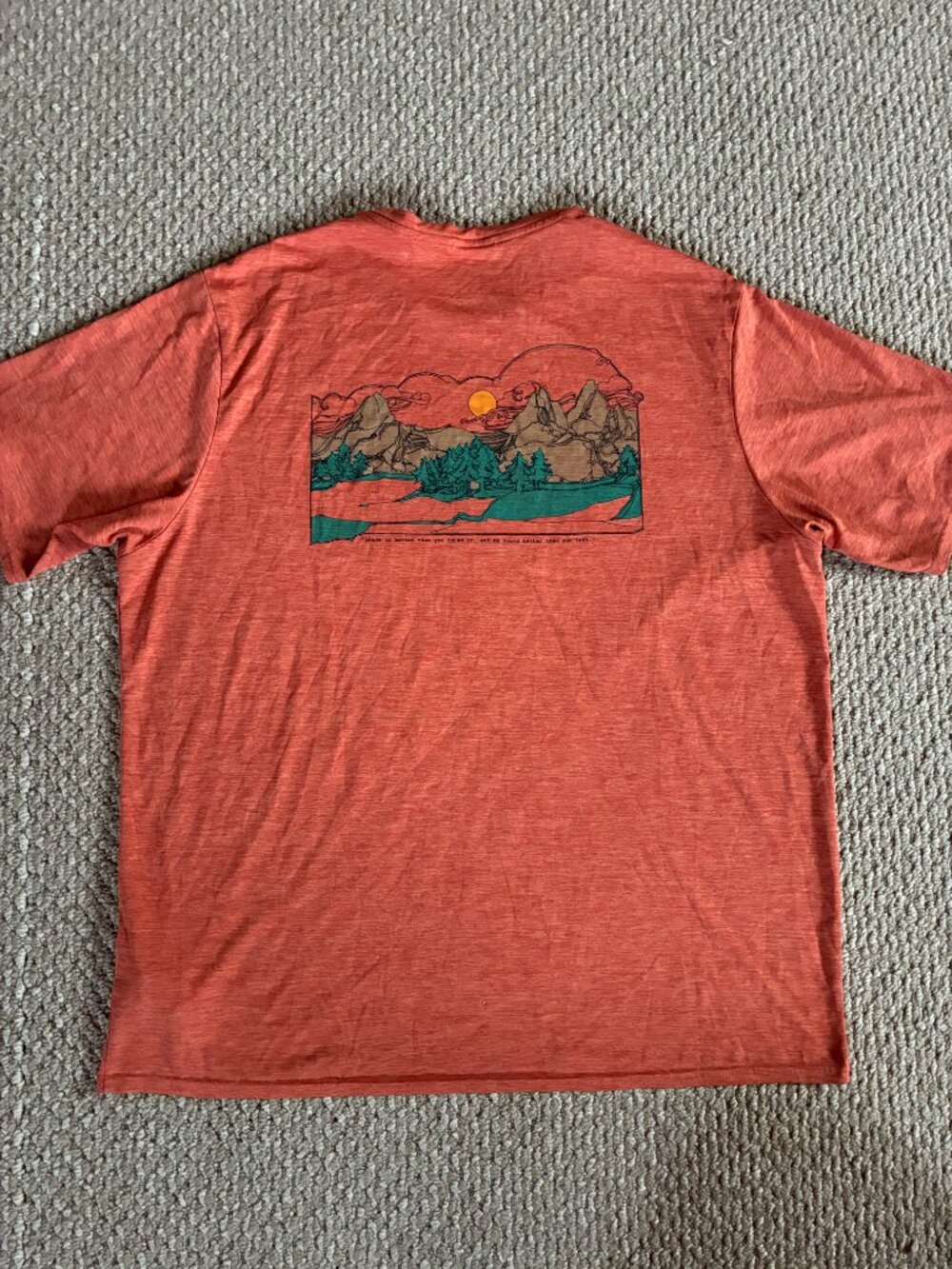 Patagonia Men's Capiline Cool Daily Graphic Shirt Orange Large Gorpcore